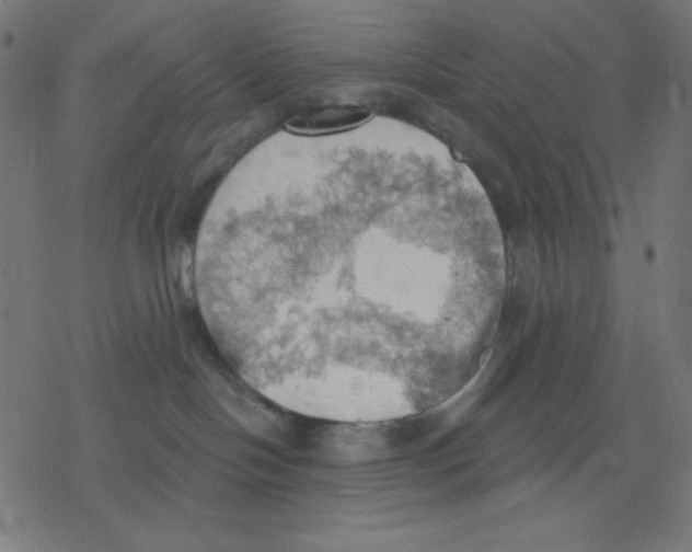 X0000078230094200612011550