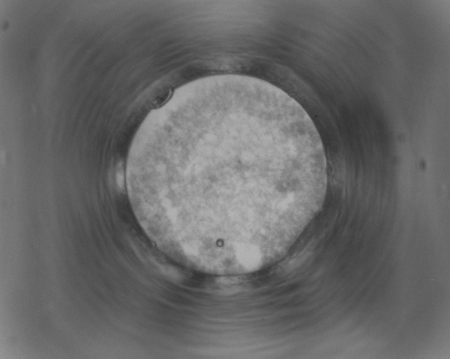 X0000078230095200612011550