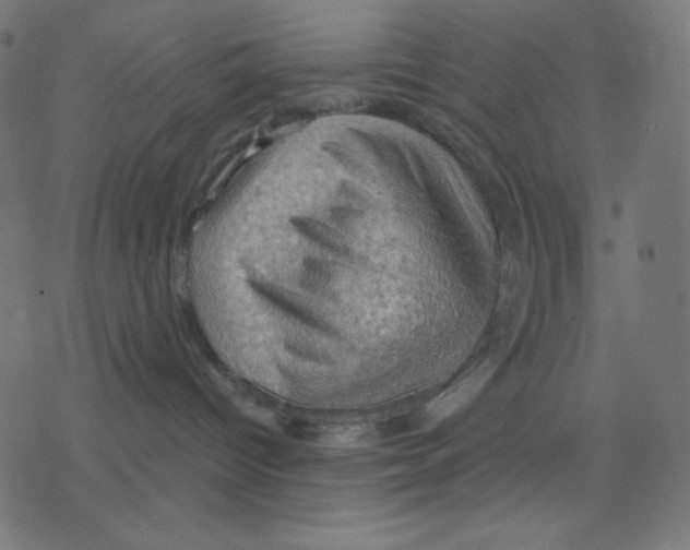 X0000078230096200612011550