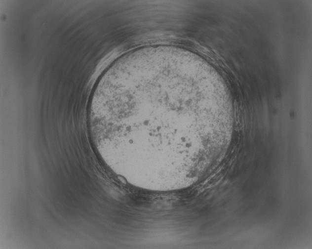 X0000078230099200612011550