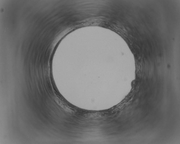 X0000078230100200612011550