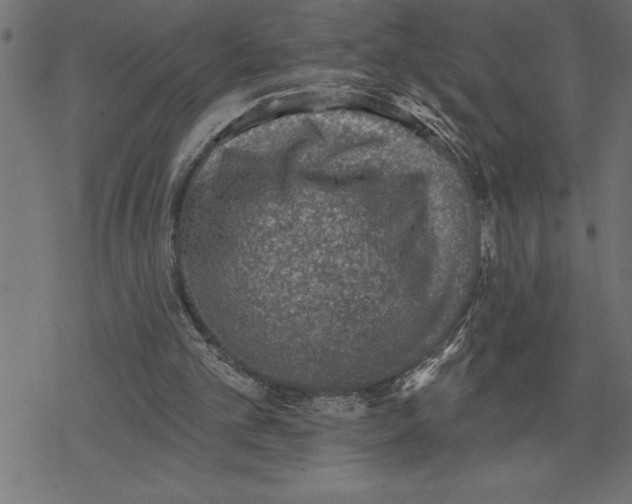 X0000078230101200612011550