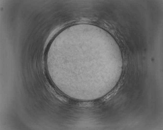 X0000078230102200612011550