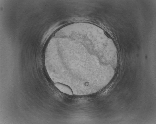 X0000078230103200612011550