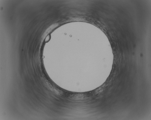 X0000078230104200612011550