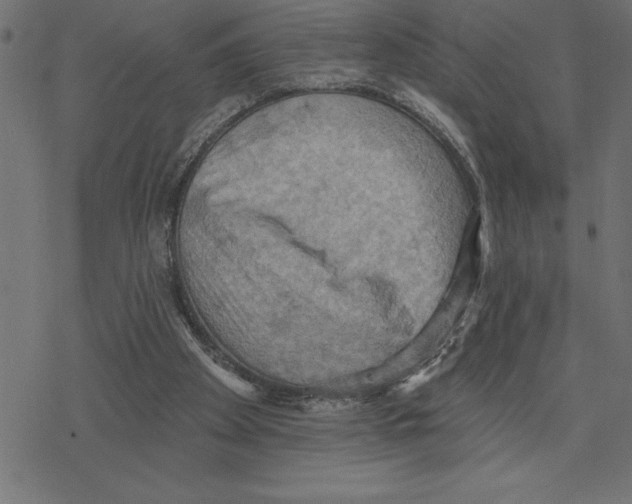 X0000078230105200612011549