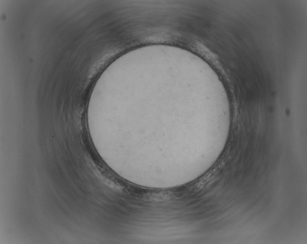 X0000078230106200612011549