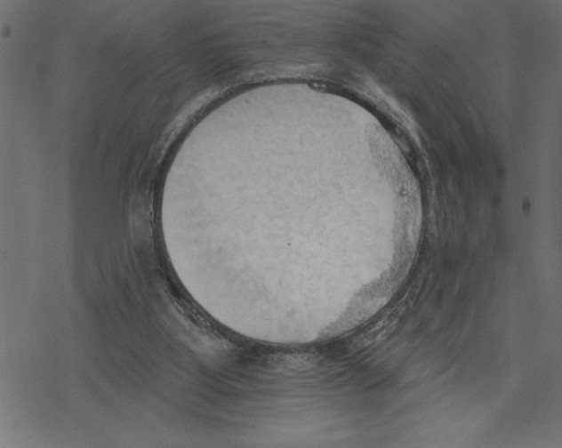 X0000078230107200612011549