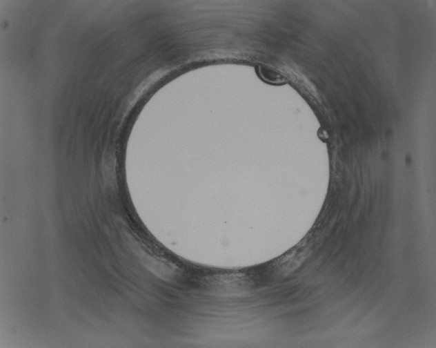 X0000078230108200612011549