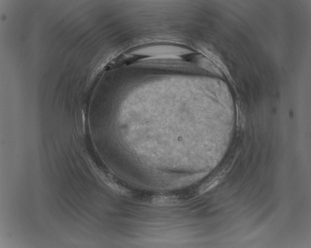 X0000078230109200612011549