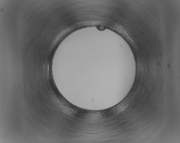 X0000078230110200612011549