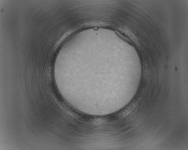 X0000078230111200612011549