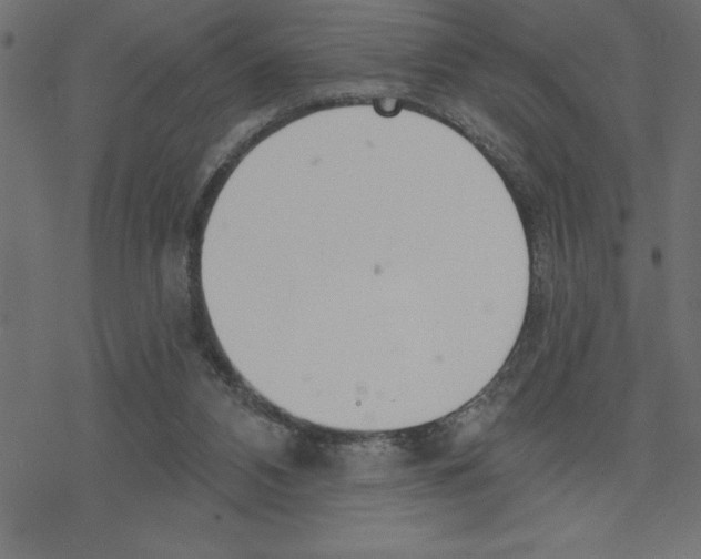 X0000078230112200612011549