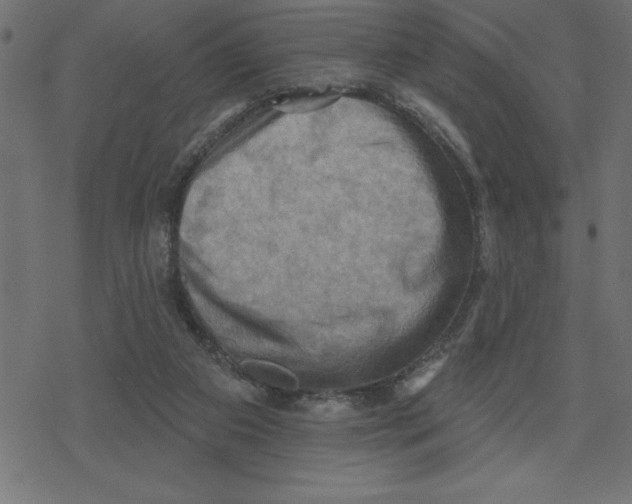 X0000078230113200612011549