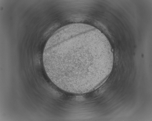 X0000078230114200612011549