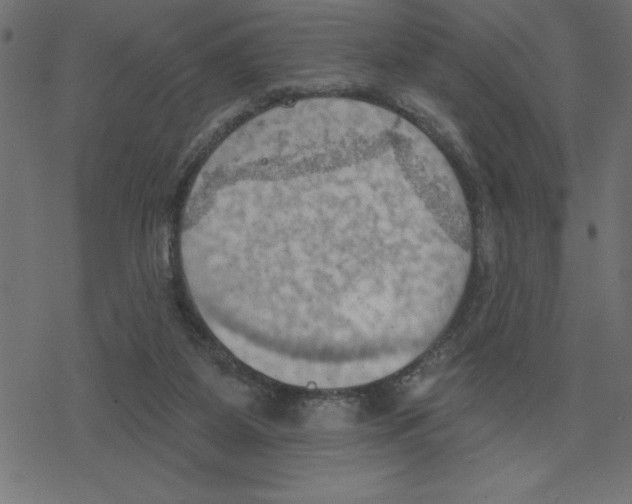 X0000078230115200612011549