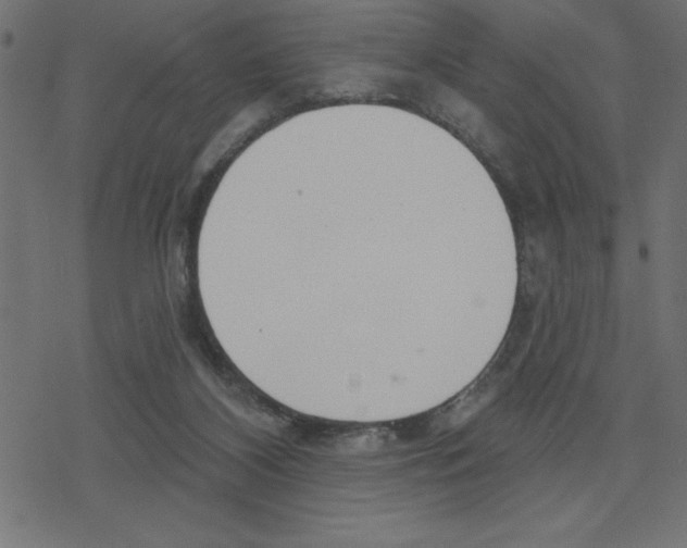 X0000078230116200612011549