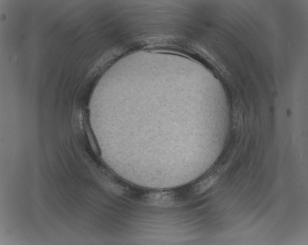 X0000078230117200612011549