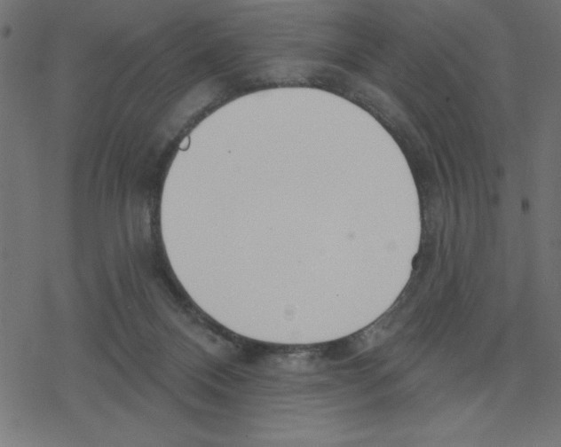 X0000078230120200612011549