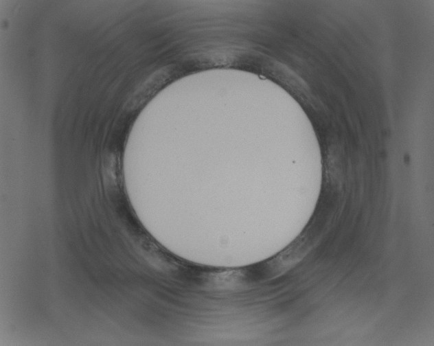 X0000078230122200612011549