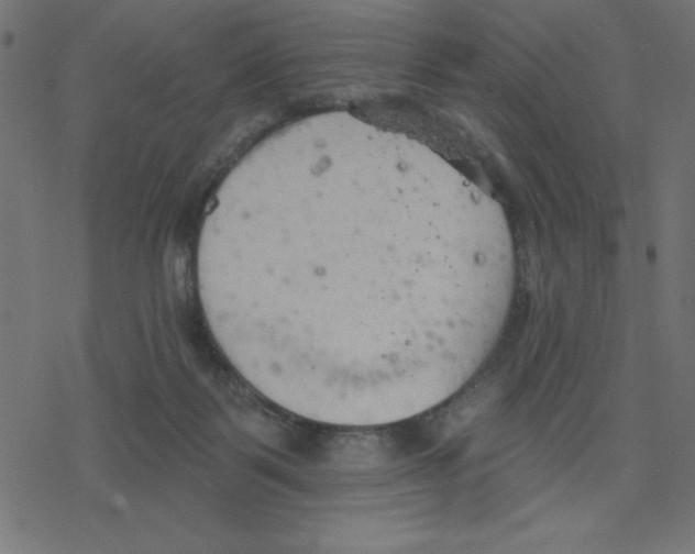 X0000078230123200612011549