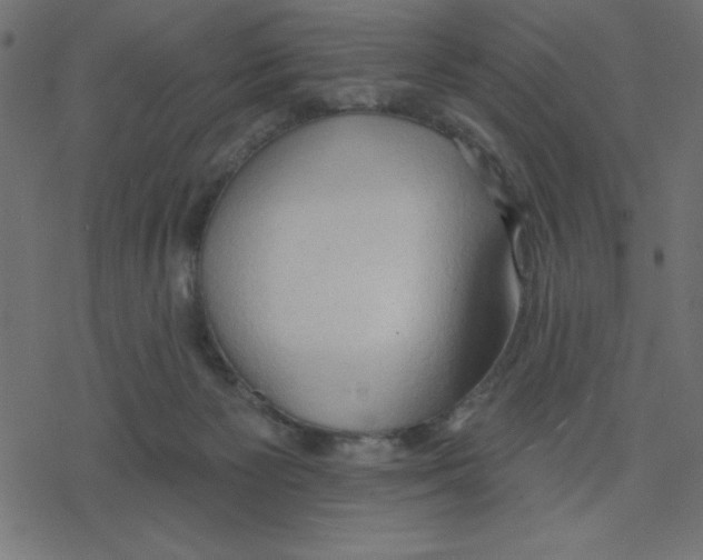 X0000078230125200612011549