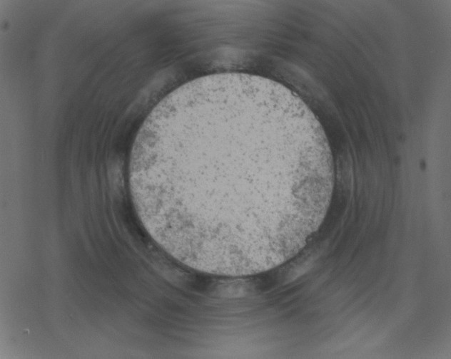 X0000078230127200612011549