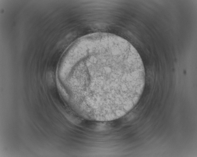 X0000078230130200612011549