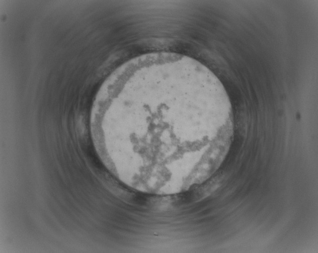 X0000078230131200612011549