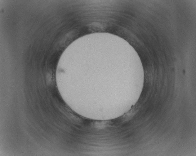 X0000078230134200612011549