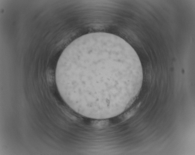 X0000078230135200612011549