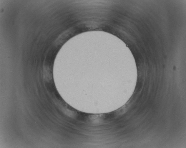 X0000078230136200612011549