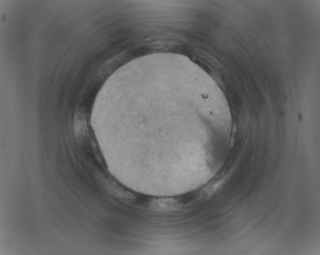 X0000078230137200612011549