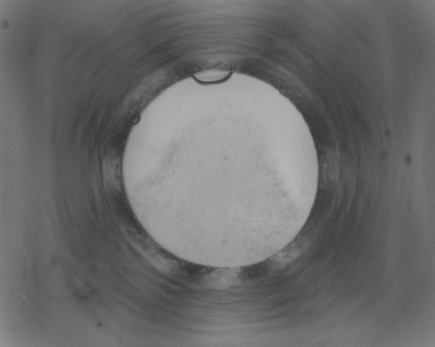 X0000078230138200612011549