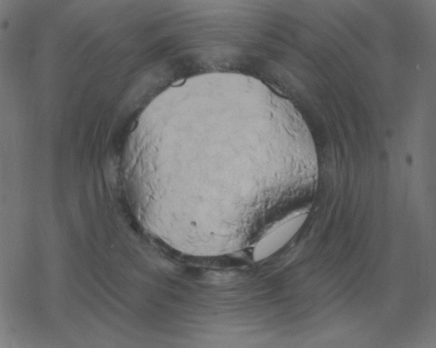 X0000078230139200612011549