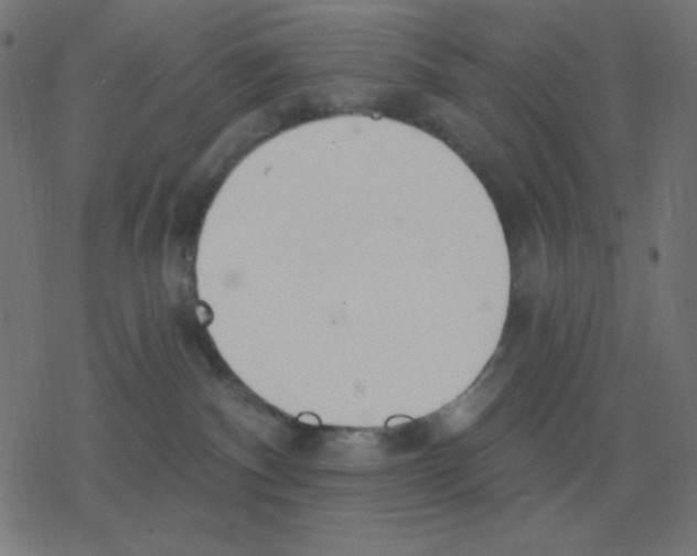 X0000078230140200612011549