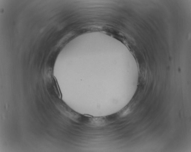 X0000078230141200612011549