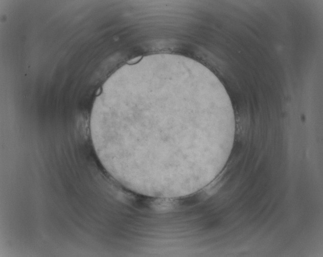 X0000078230142200612011549