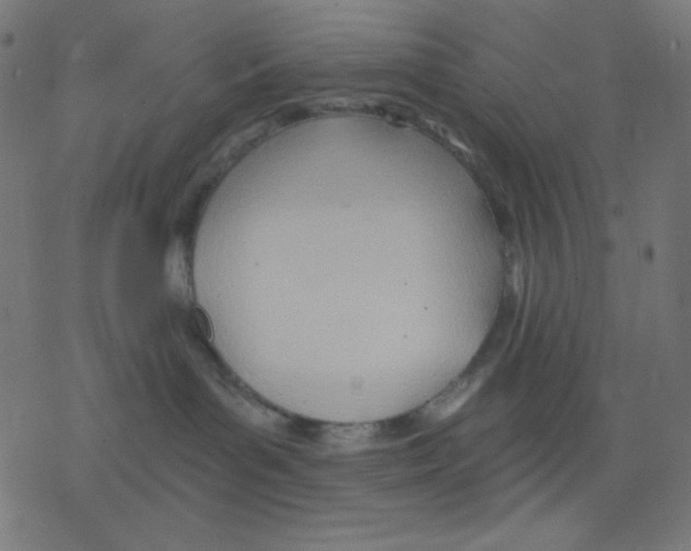 X0000078230143200612011549