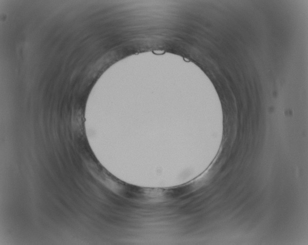 X0000078230144200612011549