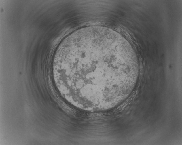 X0000078230145200612011548