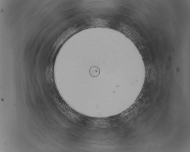 X0000078230146200612011548