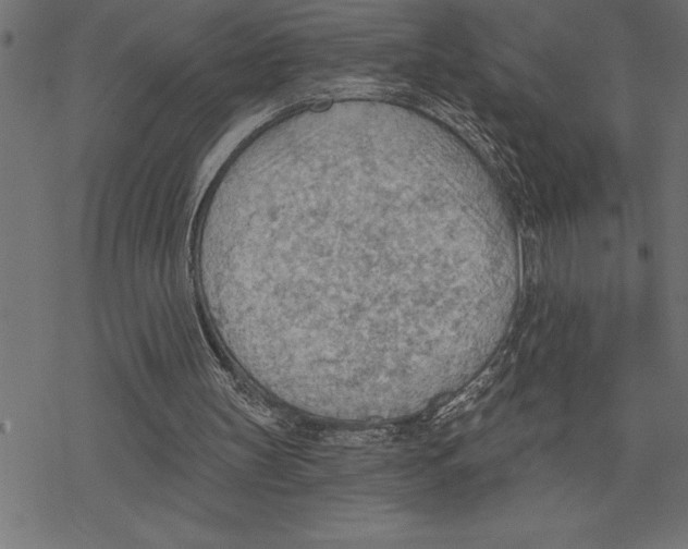 X0000078230147200612011548