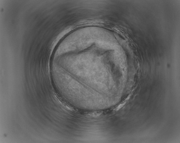 X0000078230148200612011548