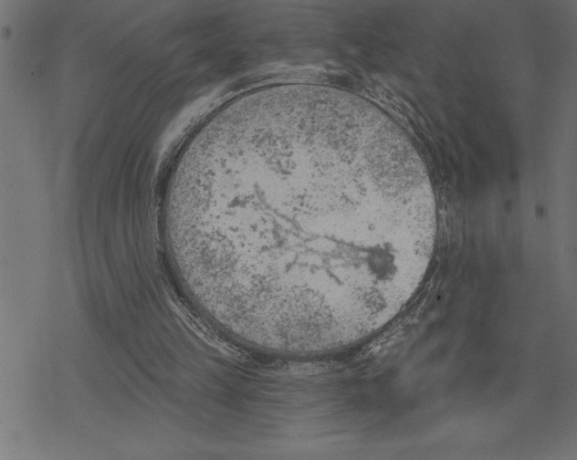 X0000078230149200612011548