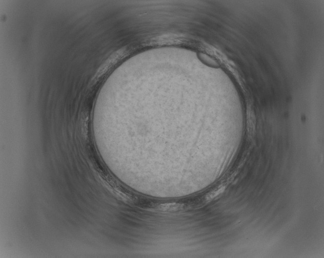 X0000078230153200612011548