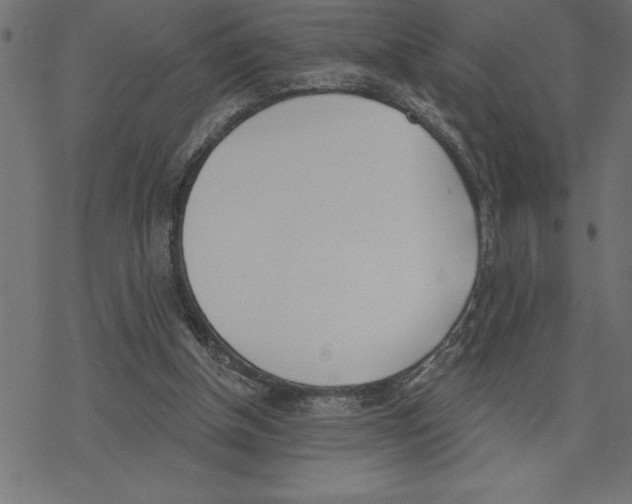 X0000078230154200612011548