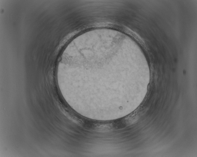 X0000078230155200612011548