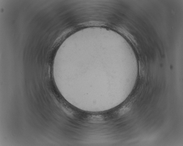 X0000078230157200612011548