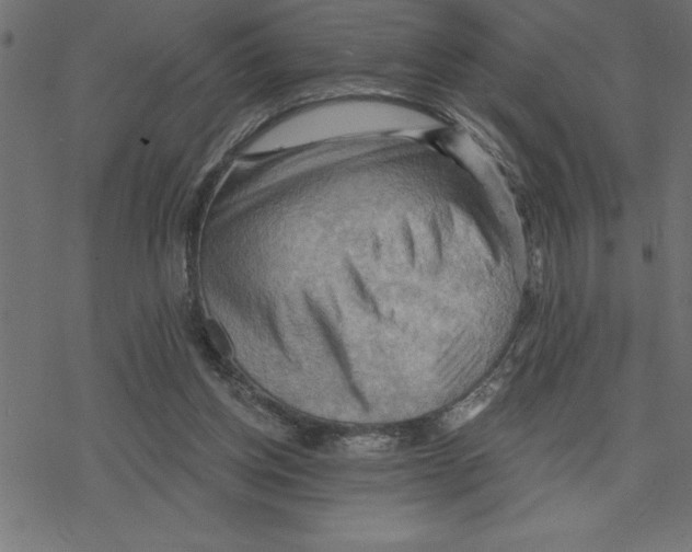 X0000078230158200612011548